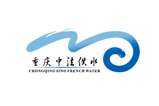 重庆中法供水不锈钢橡胶柔性软连接项目案例